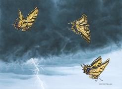 Storm Flight