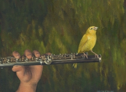 Flute Bird